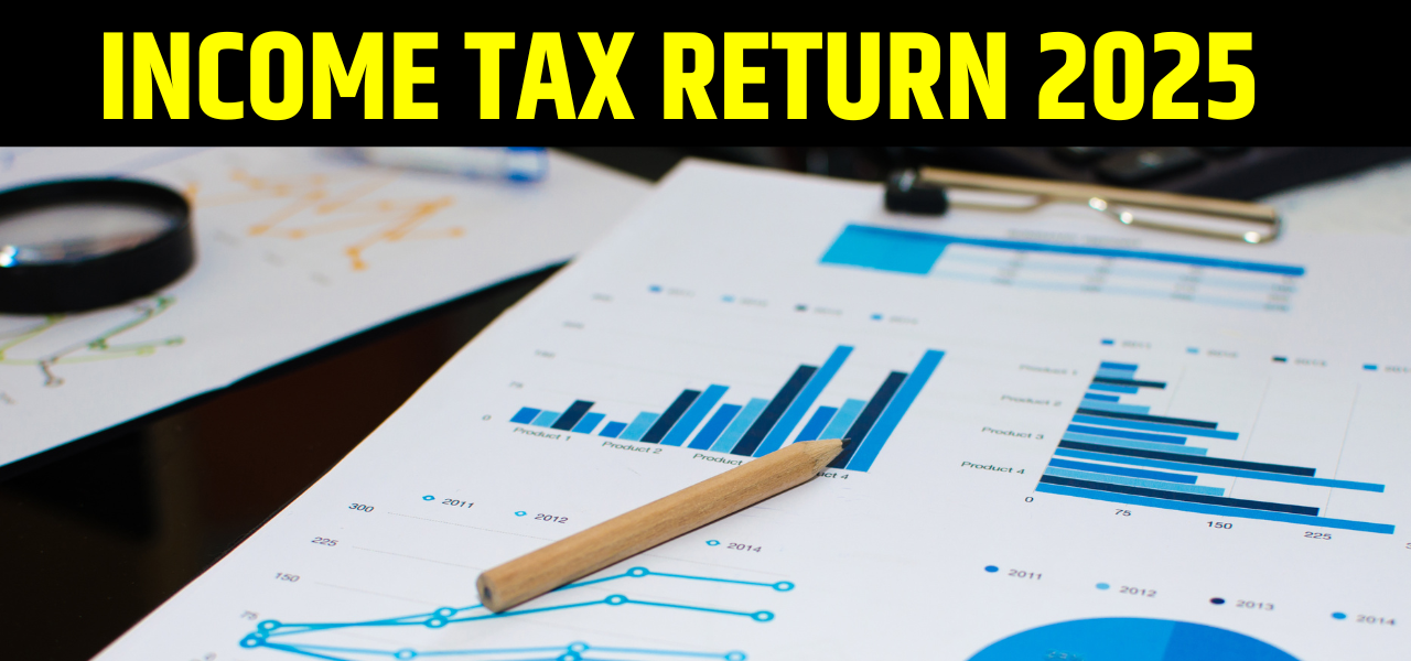 INCOME TAX RETURN